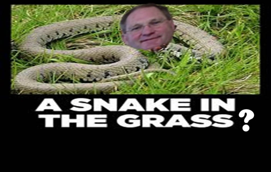 snake in the grass